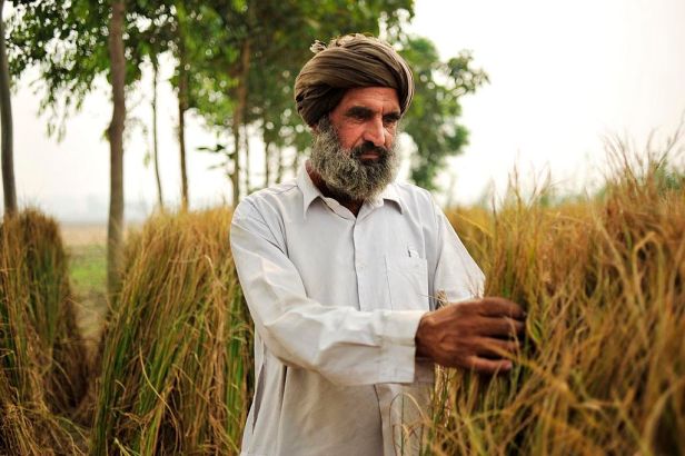1024px-Agriculture_in_India,_Farmer_Punjab